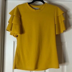Ruffle sleeved blouse